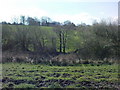 Lower Hill Farmland