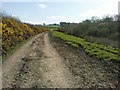 Bridleway to Upper Hill Farm