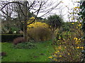 Manorowen walled garden in spring