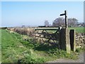 Footpath from Northern Common