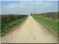 Bridleway East of Rudston