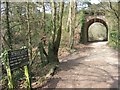 Railway arch, Upton Heath