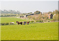 Horse-drawn spreading southeast of Bushfield Farm