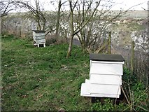 SP9314 : College Lake: Beehives in the Wildflower Garden by Chris Reynolds