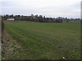 Looking towards Ripon College