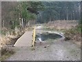 Bridge, Nature Reserve, Upton Heath