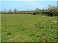 Field and track to Parkgate Farm, near Purton