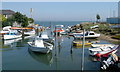 Gurnard harbour