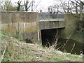 River Colne: Broad Colney Bridge