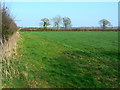 Field near Grove Farm