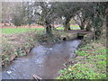 Salt Hill Stream in Salt Hill Park, Slough