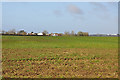 View toward Llanbethery across field