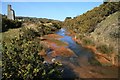 Carnon River near Point Mills