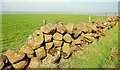 Drystone wall near Martinstown (2)