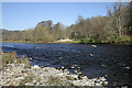 The River Tweed at Lowood