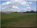 Adlingfleet from Cow Lane