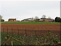 Risbury - Fields Before New House Farm