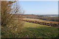 Ploughed Field off B2089