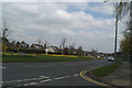 Daffs in bloom on Highfield Grange Avenue, Marus Bridge