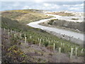 Haul road at Wheal Remfry china clay pit