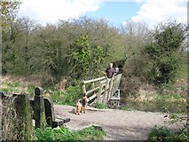 SP8608 : Wendover Arm: Negotiating the Railway Crossing by Chris Reynolds