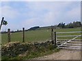 Footpath and farm road to Hafotty Llechwedd y Gaer