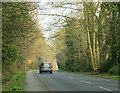 2009 : B3098 looking east toward Little Cheverell