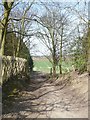 Track at the side of  radio transmitters and phone mast near Syndale Farm