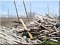 Hop poles and hop fields on Syndale Farm