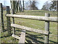 Footpath to the west of the drive to Syndale Park Motel