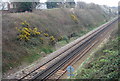 Railway Line East of Tonbridge
