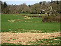 Farm track, Spaxton