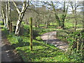 Driveway to Ebsley Farm, Spaxton