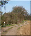 Track past Bullen Wood