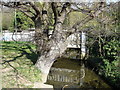 Bridge over Belstead Brook