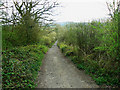 Byway to Ravensroost Wood