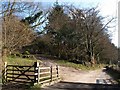 Track and lane near Pitton