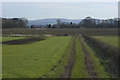 Footpath to Island Farm