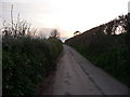 ST0215 : Mid Devon : Country Road by Lewis Clarke