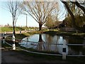 The village pond at St. Mary Hoo