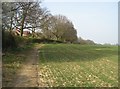 Public footpath along Pyott