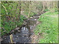 SO9978 : River Rea Just before it Passes Under Rubery Lane. by Roy Hughes