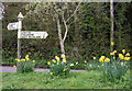 Signpost at Howleigh