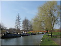 Grand Union Canal: Bridge 140B. Berkhamsted