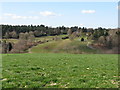 View across valley to The Larches