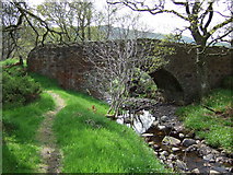 NH6790 : Fairy Glen bridge by Marion Mackay