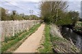 Footpath alongside the River Ock