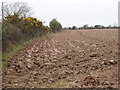 S9915 : Furrowed ploughed field by Kate's Cross Roads by David Hawgood