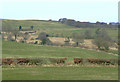 Carmarthenshire farmland near Ffaldybrenin