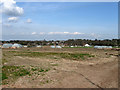 Pigs, Cootham Farm